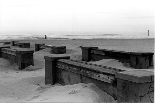 No Ansel Adams did not take this.